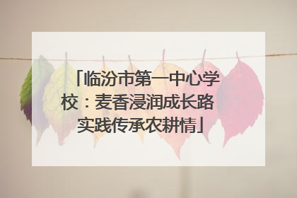 临汾市第一中心学校：麦香浸润成长路 实践传承农耕情