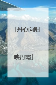丹心向阳映丹霞