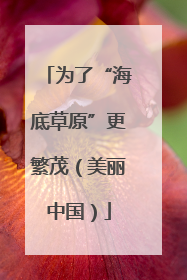 为了“海底草原”更繁茂（美丽中国）