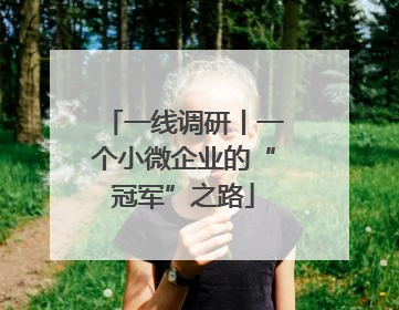 一线调研丨一个小微企业的“冠军”之路