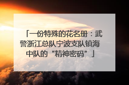 一份特殊的花名册：武警浙江总队宁波支队镇海中队的“精神密码”