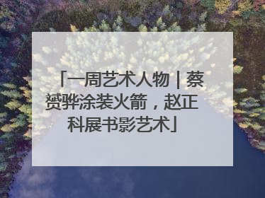一周艺术人物｜蔡赟骅涂装火箭，赵正科展书影艺术