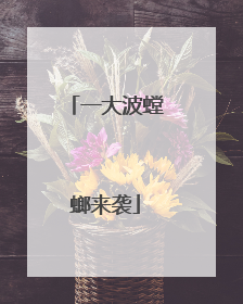 一大波螳螂来袭
