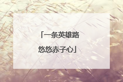 一条英雄路 悠悠赤子心