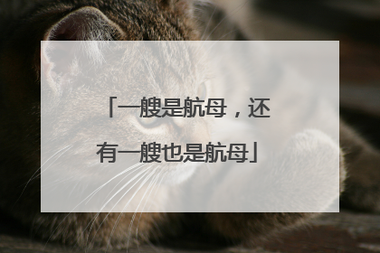 一艘是航母，还有一艘也是航母
