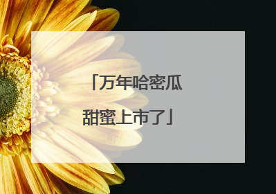 万年哈密瓜甜蜜上市了