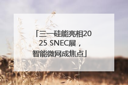 三一硅能亮相2025 SNEC展，智能微网成焦点
