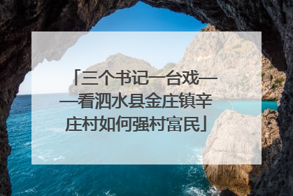 三个书记一台戏——看泗水县金庄镇辛庄村如何强村富民