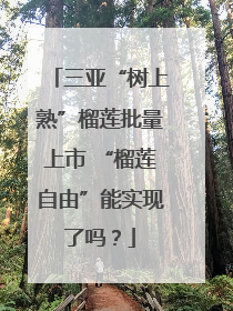 三亚“树上熟”榴莲批量上市 “榴莲自由”能实现了吗？