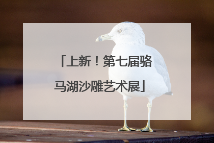 上新！第七届骆马湖沙雕艺术展