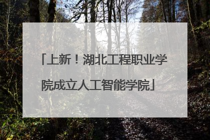 上新！湖北工程职业学院成立人工智能学院