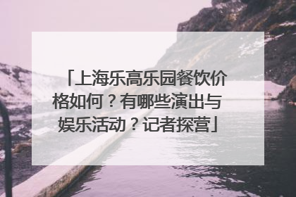上海乐高乐园餐饮价格如何？有哪些演出与娱乐活动？记者探营