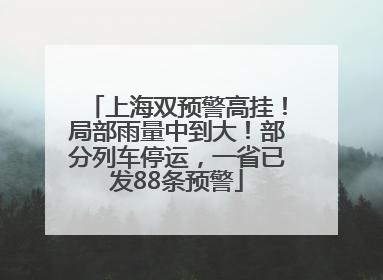 上海双预警高挂！局部雨量中到大！部分列车停运，一省已发88条预警
