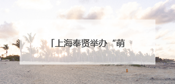 上海奉贤举办“萌娃社交”活动，为青春经济注入新活力
