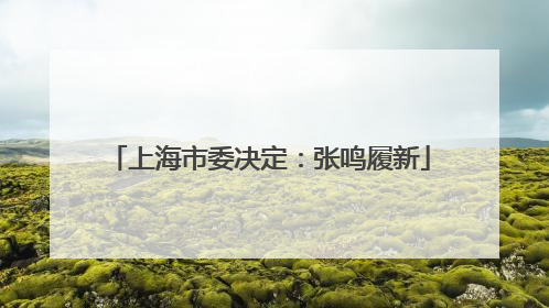 上海市委决定：张鸣履新