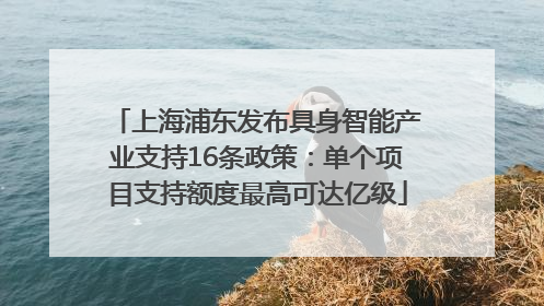 上海浦东发布具身智能产业支持16条政策：单个项目支持额度最高可达亿级