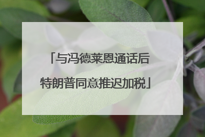 与冯德莱恩通话后 特朗普同意推迟加税