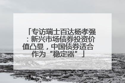 专访瑞士百达杨孝强：新兴市场债券投资价值凸显，中国债券适合作为“稳定器”