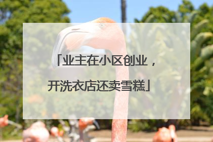 业主在小区创业，开洗衣店还卖雪糕