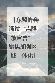 东盟峰会通过“吉隆坡宣言” 聚焦加强区域一体化