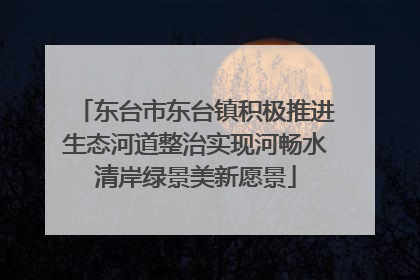 东台市东台镇积极推进生态河道整治实现河畅水清岸绿景美新愿景