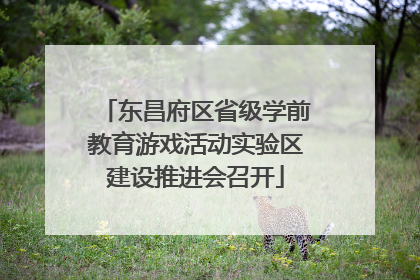 东昌府区省级学前教育游戏活动实验区建设推进会召开