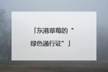 东港草莓的“绿色通行证”