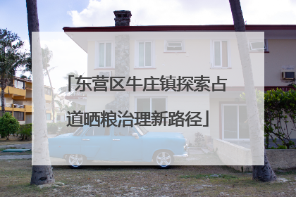 东营区牛庄镇探索占道晒粮治理新路径