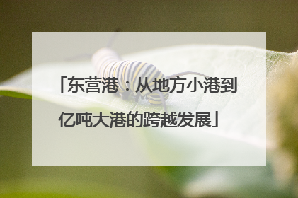 东营港：从地方小港到亿吨大港的跨越发展