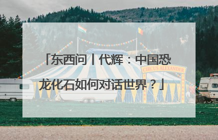 东西问丨代辉：中国恐龙化石如何对话世界？
