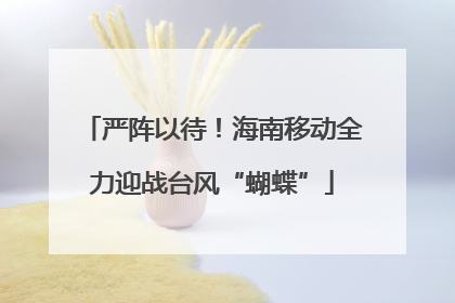 严阵以待！海南移动全力迎战台风“蝴蝶”