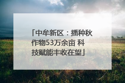 中牟新区：播种秋作物53万余亩 科技赋能丰收在望