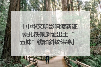中华文明影响添新证 蒙扎铁佩遗址出土“五铢”钱和斜纹纬锦