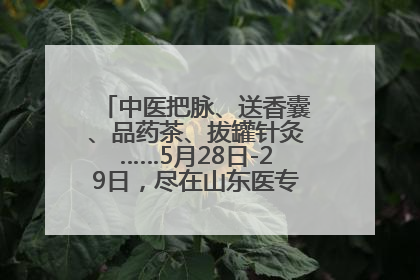 中医把脉、送香囊、品药茶、拔罐针灸……5月28日-29日，尽在山东医专附属医院中医夜市