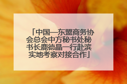 中国—东盟商务协会总会中方秘书处秘书长鹿德晶一行赴滨实地考察对接合作