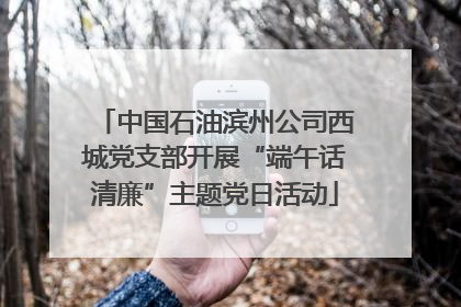 中国石油滨州公司西城党支部开展“端午话清廉”主题党日活动