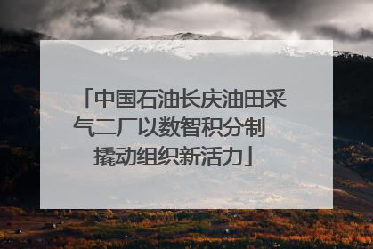 中国石油长庆油田采气二厂以数智积分制 撬动组织新活力