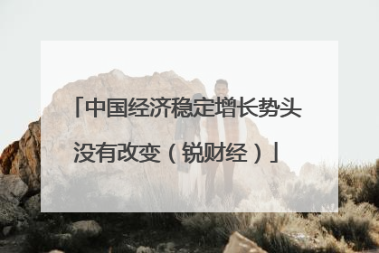 中国经济稳定增长势头没有改变（锐财经）
