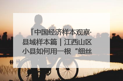 中国经济样本观察·县域样本篇｜江西山区小县如何用一根“细丝”拉出百亿级产业？