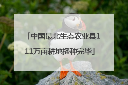 中国最北生态农业县111万亩耕地播种完毕