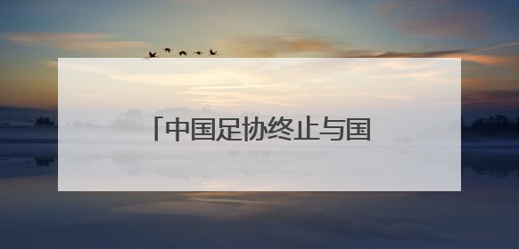 中国足协终止与国足主帅伊万合作