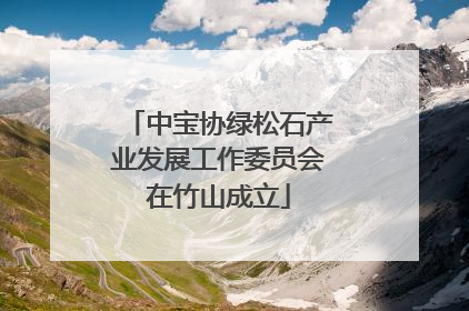 中宝协绿松石产业发展工作委员会在竹山成立
