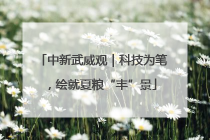 中新武威观｜科技为笔，绘就夏粮“丰”景