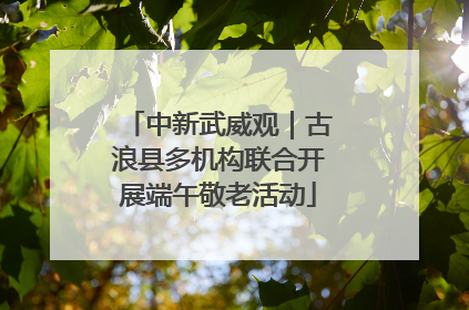 中新武威观｜古浪县多机构联合开展端午敬老活动