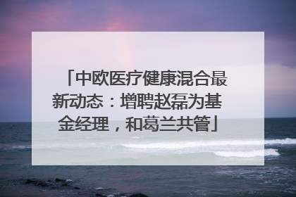 中欧医疗健康混合最新动态：增聘赵磊为基金经理，和葛兰共管