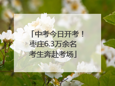 中考今日开考！枣庄6.3万余名考生奔赴考场