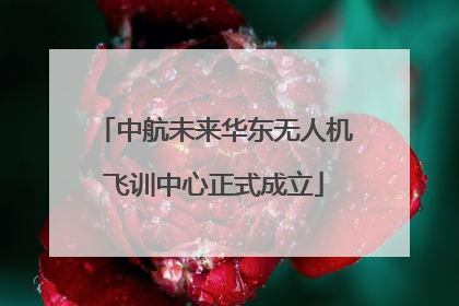 中航未来华东无人机飞训中心正式成立
