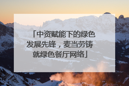 中资赋能下的绿色发展先锋，麦当劳铸就绿色餐厅网络