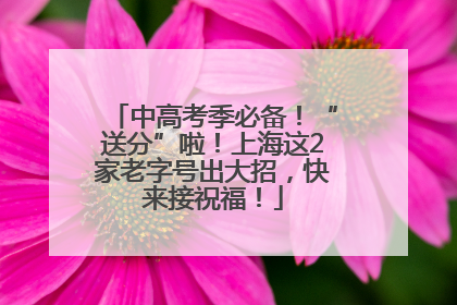 中高考季必备！“送分”啦！上海这2家老字号出大招，快来接祝福！