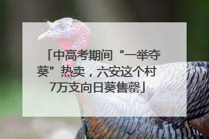 中高考期间“一举夺葵”热卖，六安这个村7万支向日葵售罄